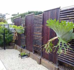 Need Inexpensive Privacy Fence Ideas? These will be Your 25 Coolest ...