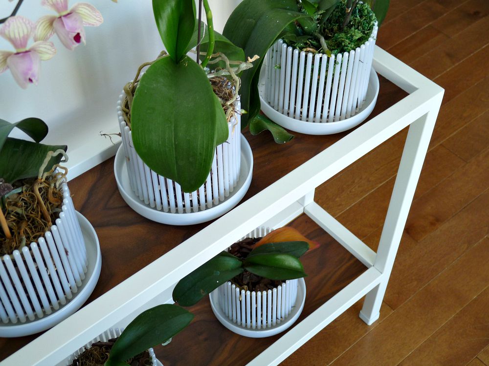 DIY Plant Stand