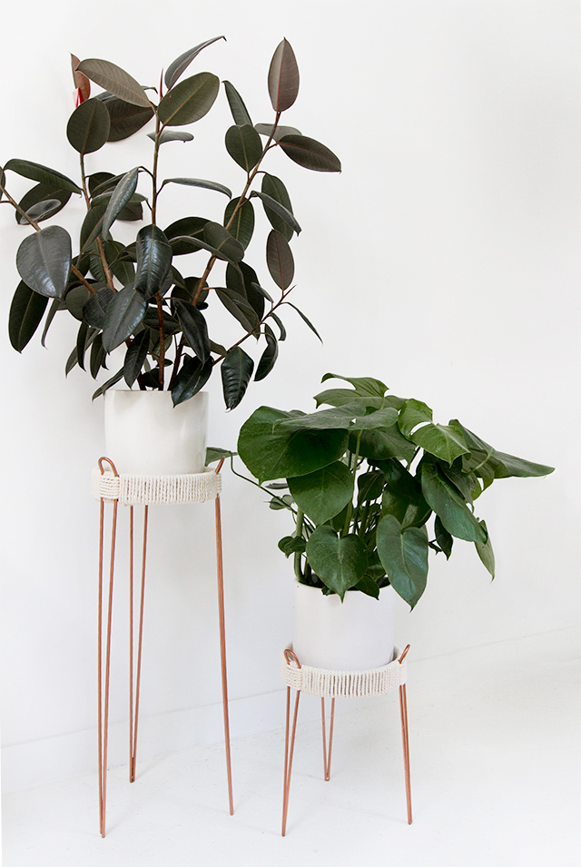 DIY Plant Stand