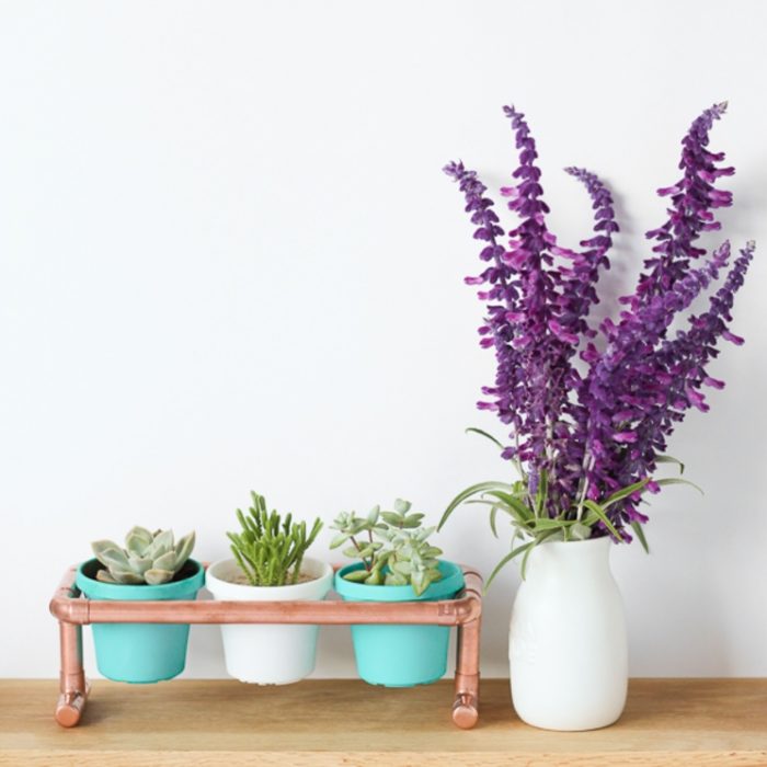 DIY Plant Stand ideas