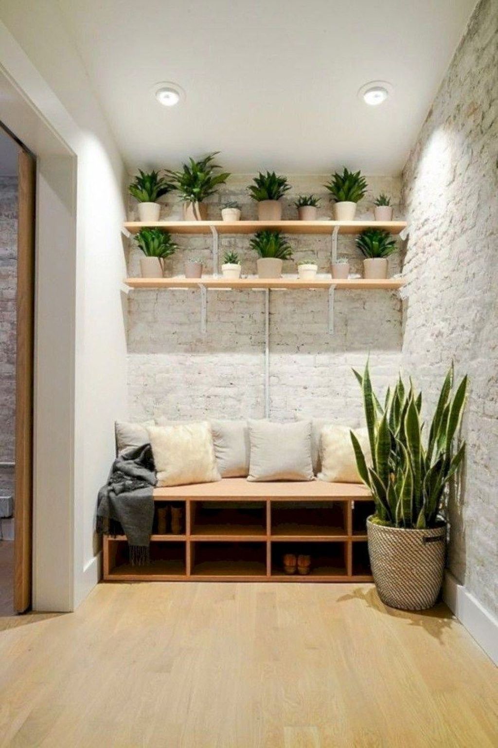 minimalist apartment with plants