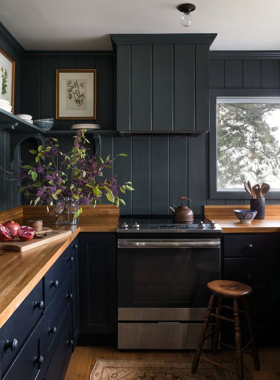 kitchen with dark wall and cabinets